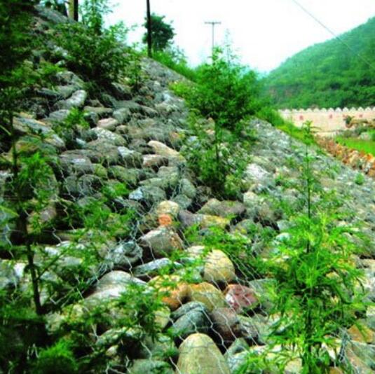生態(tài)護(hù)坡網(wǎng)石籠墊